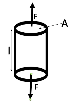 Figure schématique d'une contrainte appliquée sur un cylindre.png