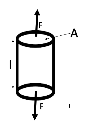 Fichier:Schéma d'une contrainte appliquée sur un cylindre.png